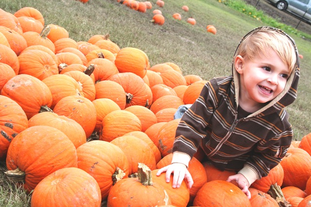 [Pumpkin Patch 09 054[3].jpg]