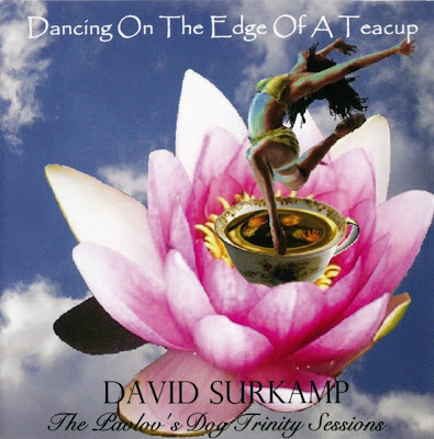 David Surkamp ~ 2007 ~ Dancing On The Edge Of A Teacup