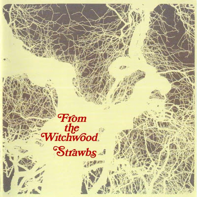 the Strawbs ~ 1971 ~ From The Witchwood