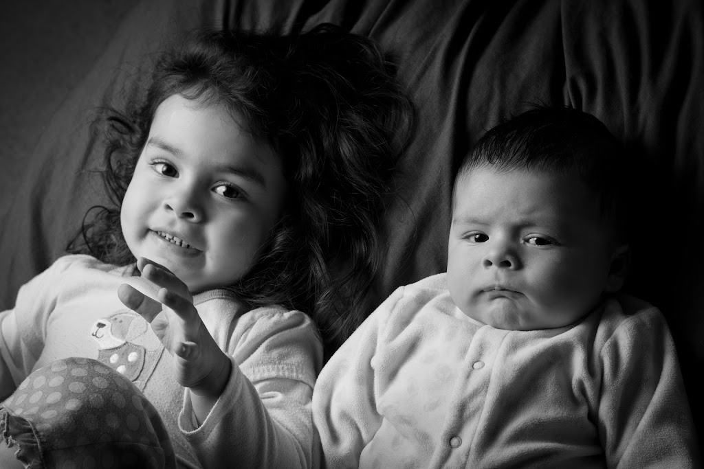 IMAGE: http://lh3.ggpht.com/_N-7YUzMMEkc/TSoKPyr9LHI/AAAAAAAEQgo/hRpsJY494vM/s1024/January-09-2011_7192.jpg