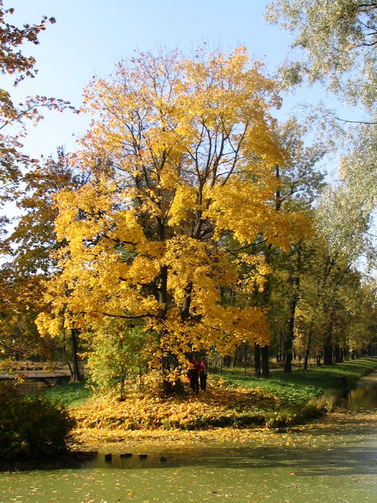 29.09.07%20128.JPG