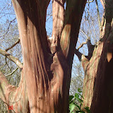 DSC05269.JPG