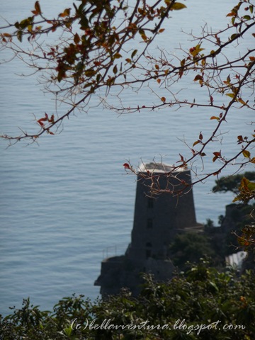 [P1000836[13].jpg]
