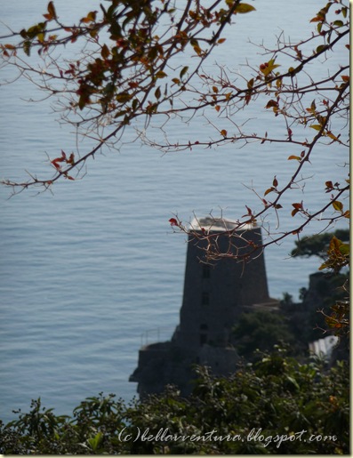P1000836