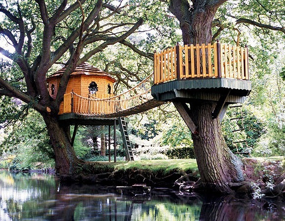 [Amazing Tree Houses Around The World 08[3].jpg]