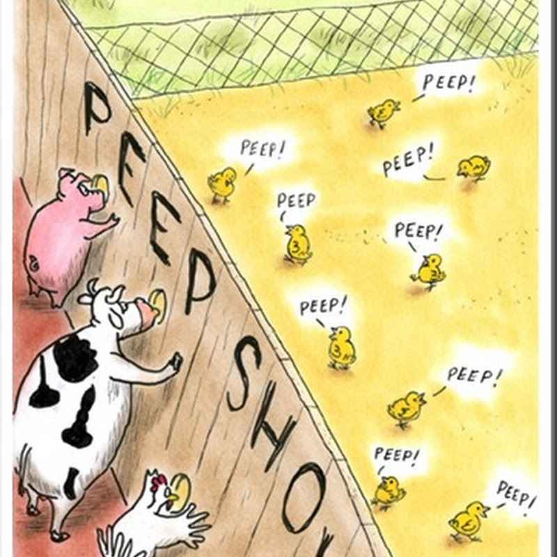 Cartoon Animals