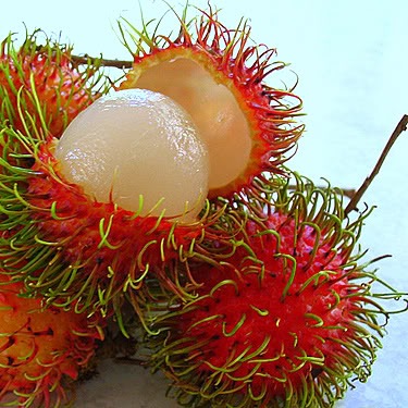 [rambutan[3].jpg]