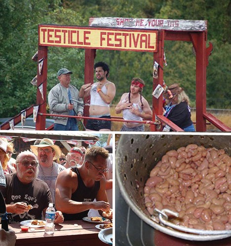 [turkey-testicle-festival[4].jpg]