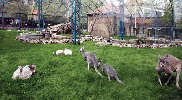 Belgrade zoo 02