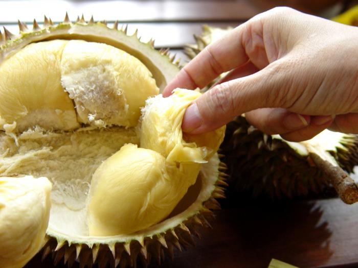 [bizarre-food-durian2[3].jpg]