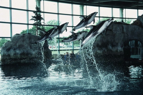 [shedd-aquarium-01[4].jpg]