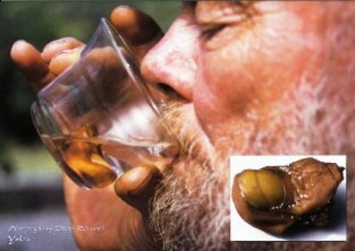 [top-7-dare-drinks-01[4].jpg]