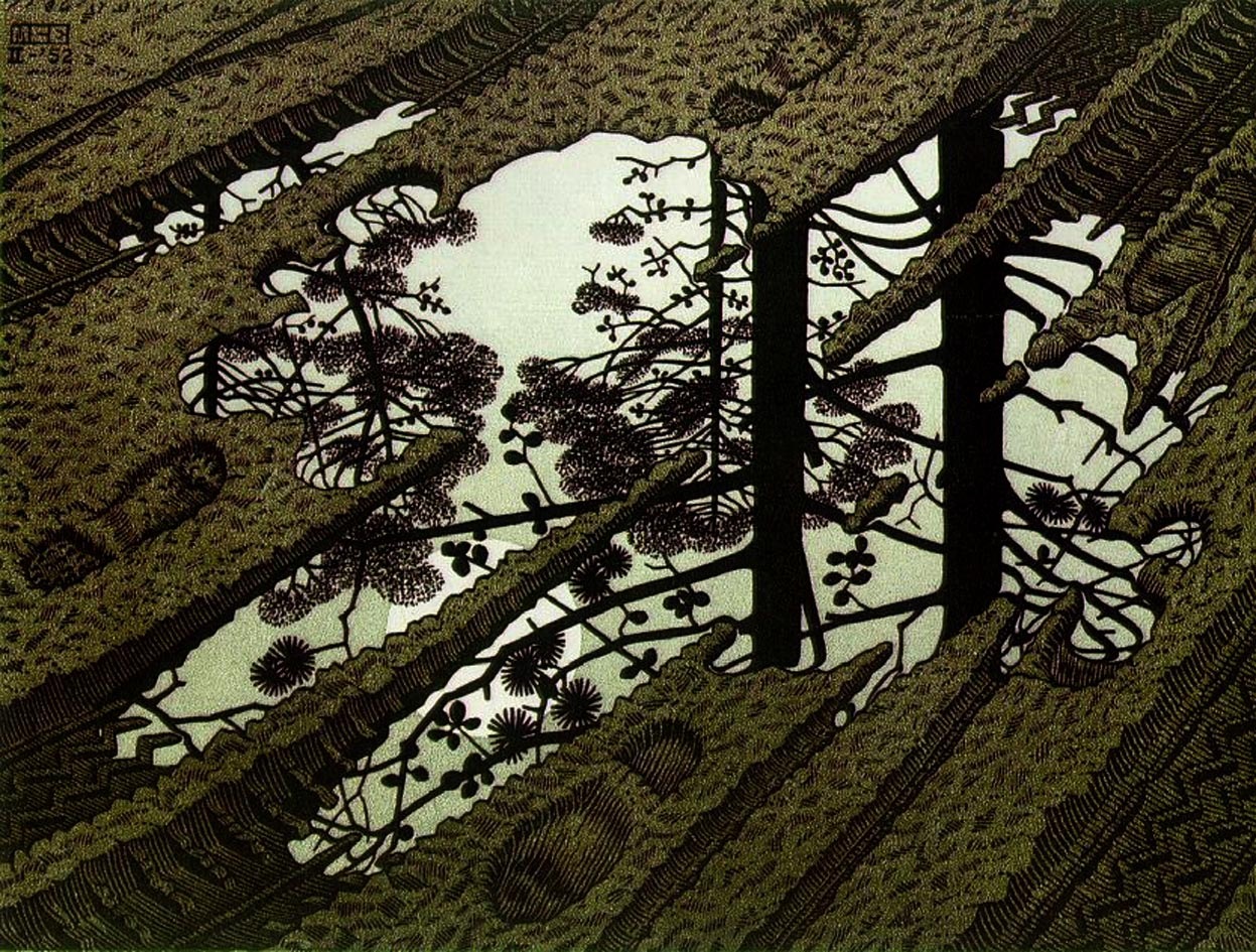 [M. C. Escher - puddle[3].jpg]