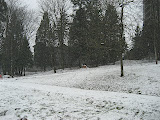 More pics in the park