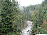 View from the bridge