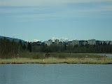 IMG_2843.JPG