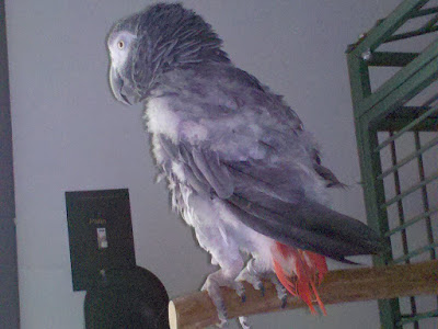 2010-06-17%2017.38.12.jpg