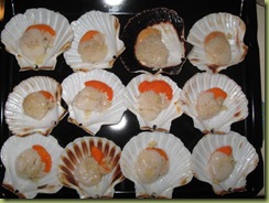 IMG_2785 (Small)