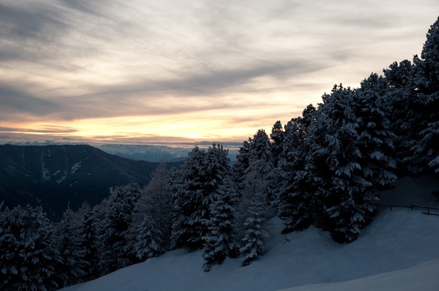 [DSC_80544.jpg]
