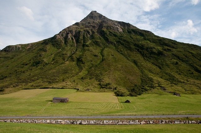 [DSC_41172.jpg]