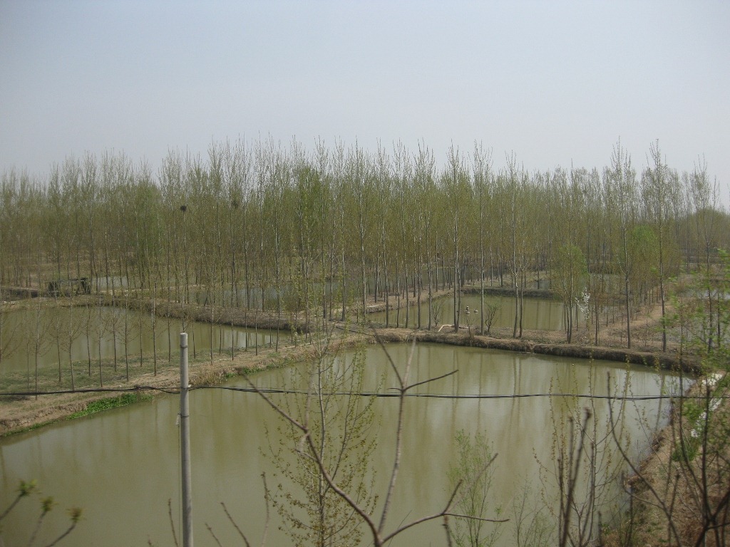 [IMG_2675-1024x7684.jpg]