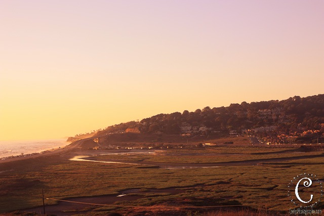 [Torrey Pines-15.jpg]