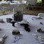 mayjune2009 034.JPG