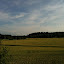 IMG_0220.JPG