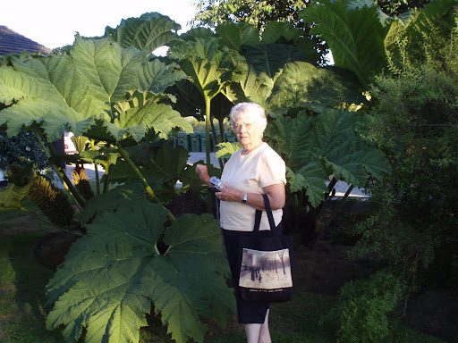 Carol Crow