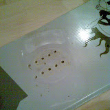 My binds left quite the impression on the Doom Board