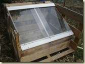 coldframe1_1_1_1