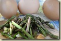 wild asparagus omelette 1_1_1_1