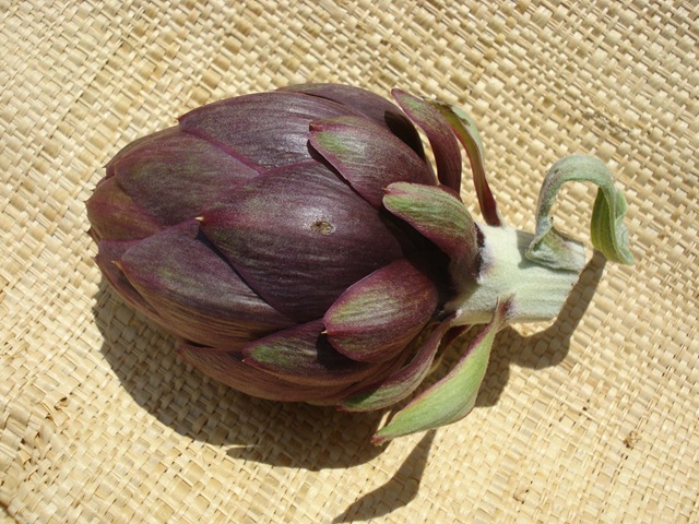 [first artichoke to eat_1_1_1[3].jpg]