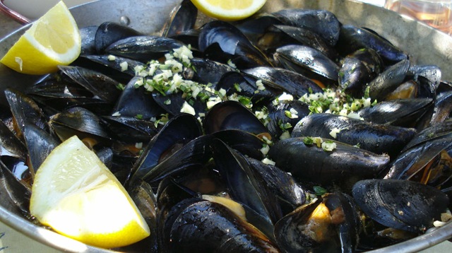 [mussels4_1_1[3].jpg]