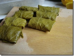 dolmas5_1_1