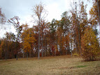 Fall!