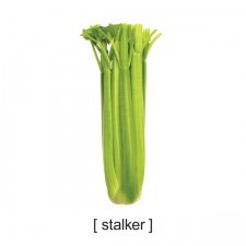 [60c9iwell_tshirts_stalker[2].jpg]