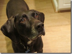 IMG_3055 (800x600)