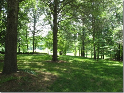 2010-05-08 021 (640x480)