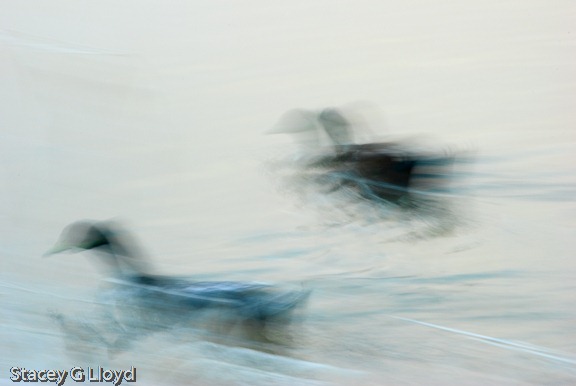 [Blog_20090116_1[8].jpg]