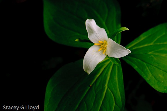 [Blog_20100419_1-3[5].jpg]
