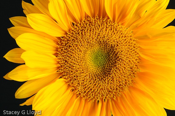 [Blog_20100728_1[5].jpg]
