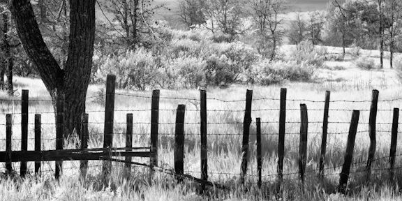 [_DSC0061-Edit-Edit[10].jpg]