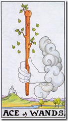 Wands01 (7) Wands01 (7)