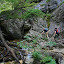 The hiking trail in the Horne Diery Canyon (Mala Fatra National Park, Slovakia)