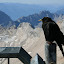 [EN] On top of Zugspitze (2962m/9718ft). [SK] Na vrchole Zugspitze (2962m/9718ft).