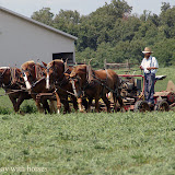 Adams County - BCBCBC
