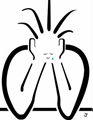 [image[3].png]