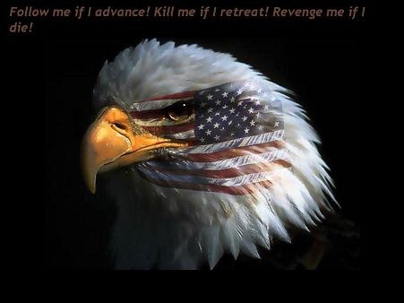 eagle-eye-american-flag