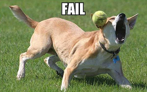 http://lh3.ggpht.com/_NFDIJKBgLAg/St5N_6SZ6vI/AAAAAAAAADU/w3Frs2x_hA8/fail.jpg